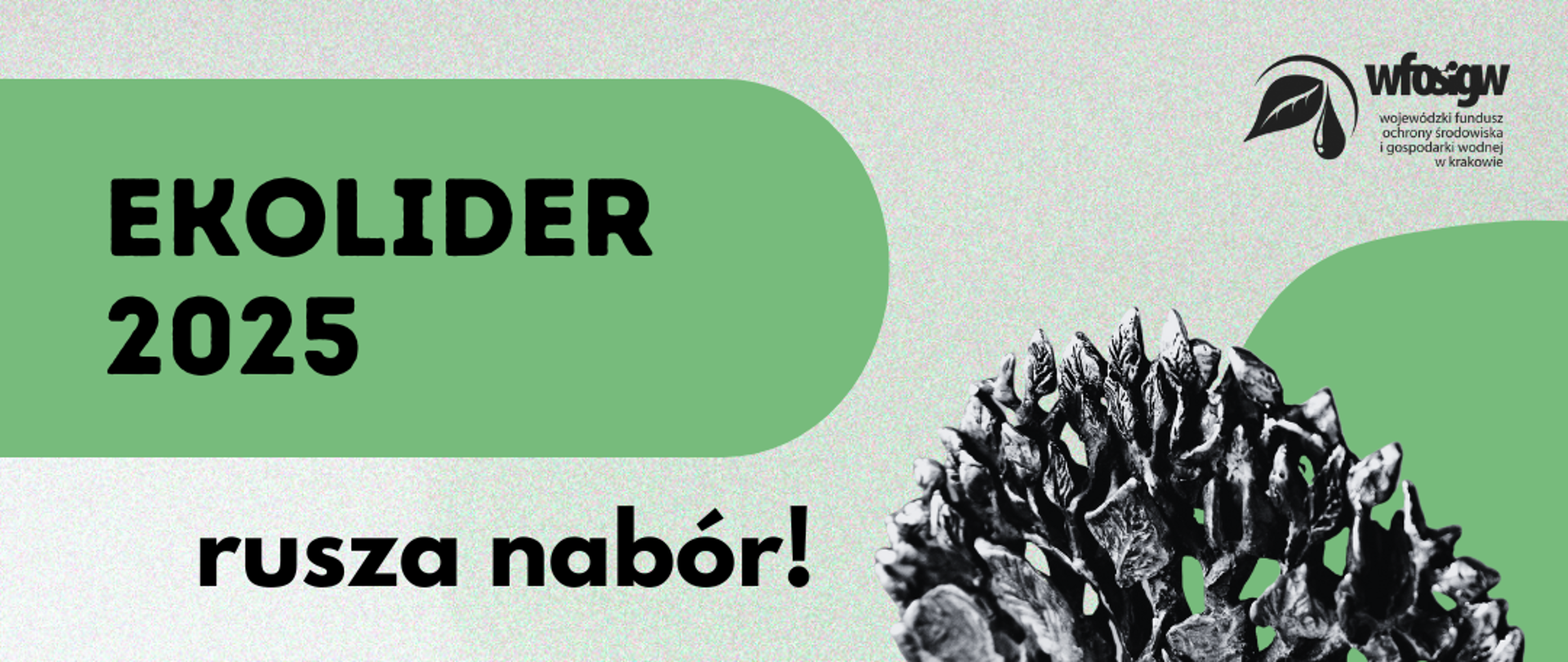 Plakat ekoLIDER