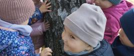 Dzieci przytulają drzewa