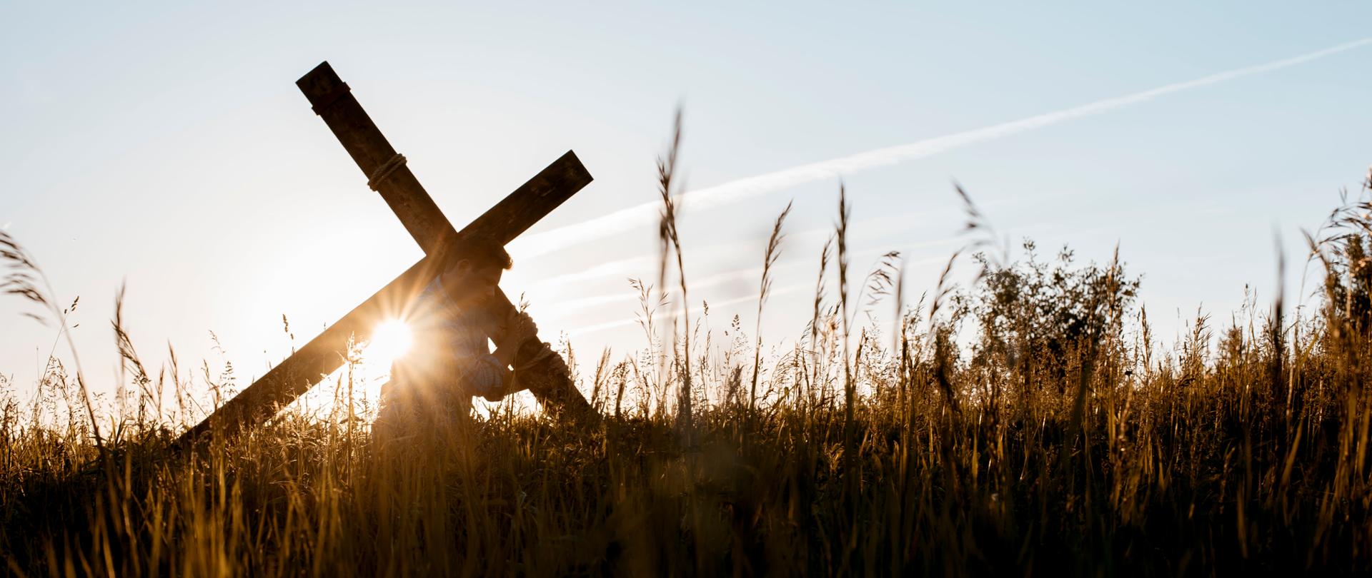 Mężczyzna niesie krzyż wśród traw o zachodzie słońca, symboliczne zdjęcie drogi krzyżowej