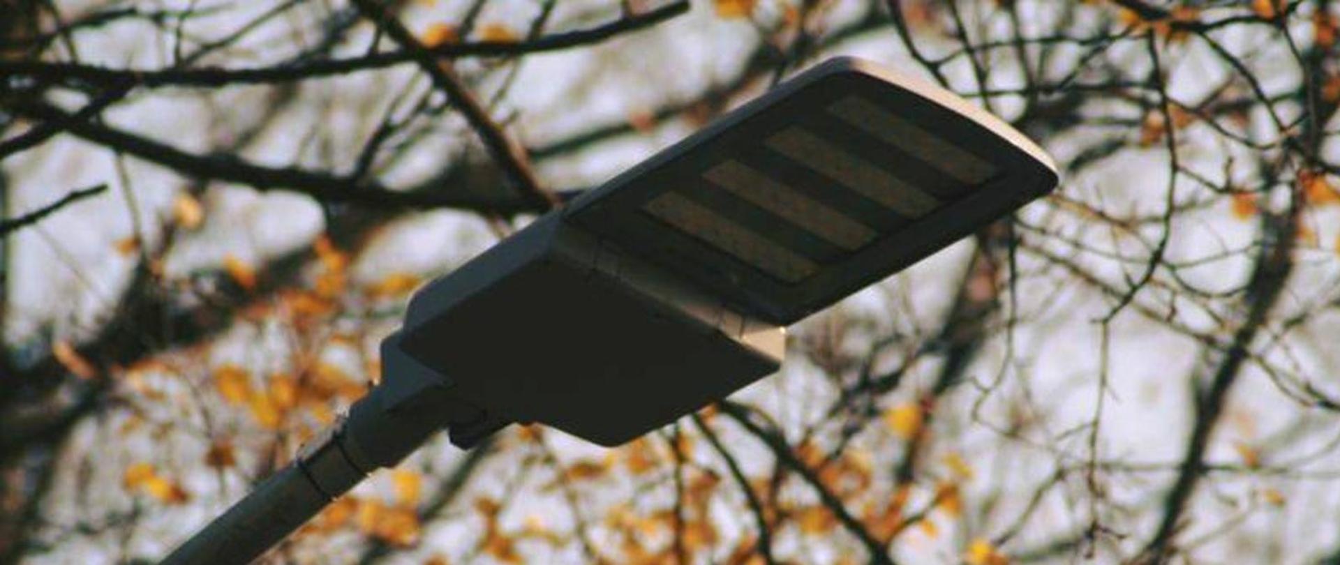 Nowoczesna uliczna lampa LED zamontowana na słupie, widoczna na tle gałęzi drzew z jesiennymi liśćmi i jasnego nieba.