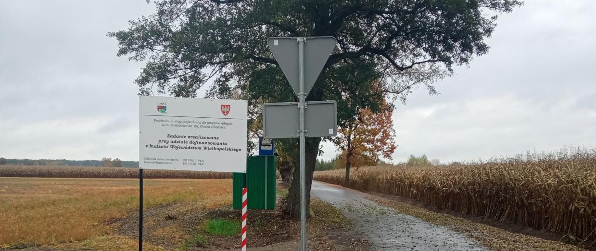 Droga dojazdowa Stróżewice