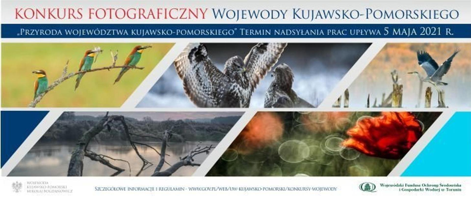 Plakat konkursu. U góry napis Konkurs Fotograficzny Wojewody Kujawsko-Pomorskiego "Przyroda Województwa Kujawsko-Pomorskiego". Termin nadsyłania prac upływa 5 maja 2021 r. Szczegółowe informacje i regulamin - adres strony. Poniżej pięć zdjęć z poprzedniego konkursu. U dołu loga KPUW i WFOŚ