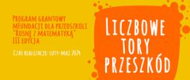 Liczbowe tory przeszkód. Program grantowy mFundacji dla przedszkoli "Rosnę z matematyką". Czas realizacji: luty-maj 2024. 