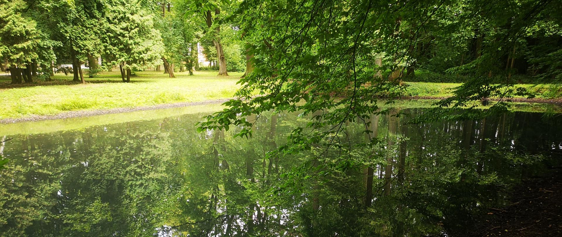 Park Gminny w Dobroniu - staw