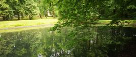 Park Gminny w Dobroniu - staw