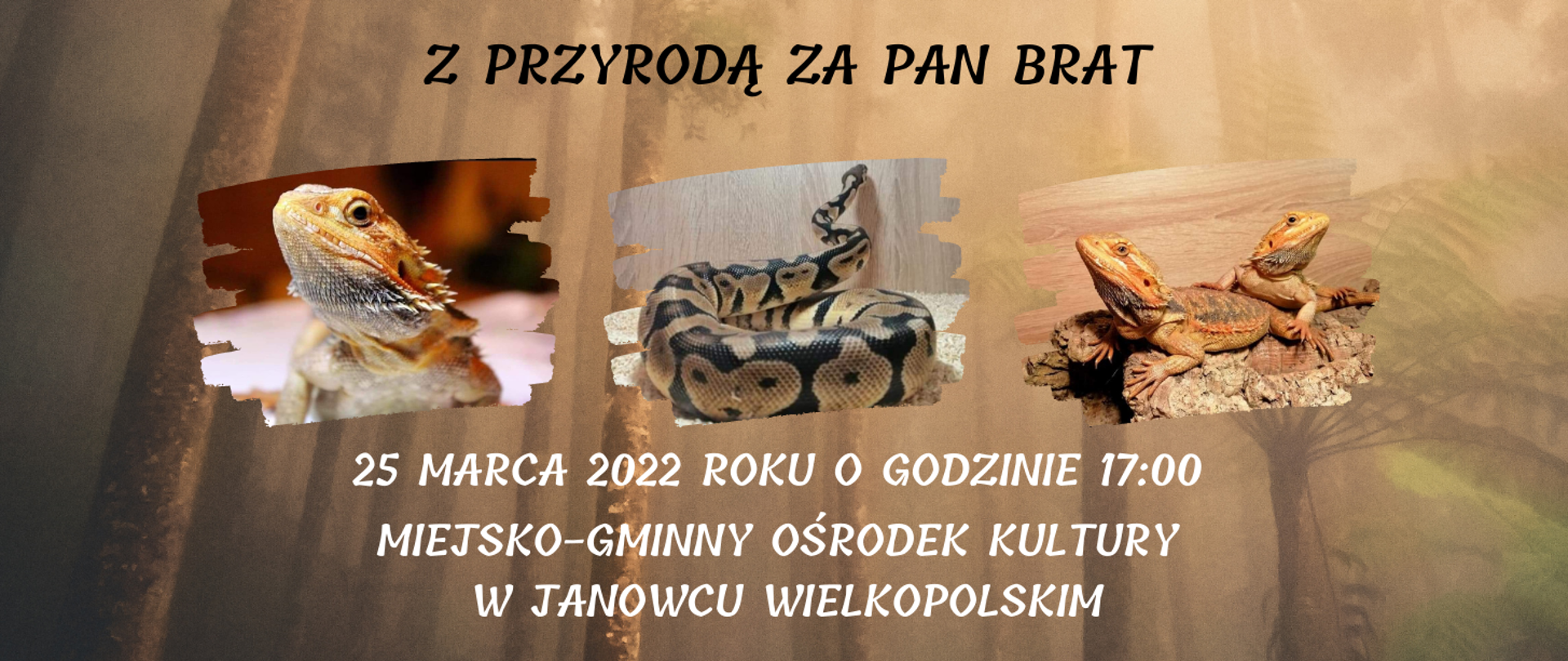 grafika przedstawia logotyp Z PRZYRODĄ ZA PAN BRAT, na którym znajduje się zdjęcie agamy i pytona królewskiego, a także tekst Z PRZYRODĄ ZA PAN BRAT, 25 marca 2022 roku o godzinie 17 Miejsko-Gminny Ośrodek Kultury w Janowcu Wielkopolskim
