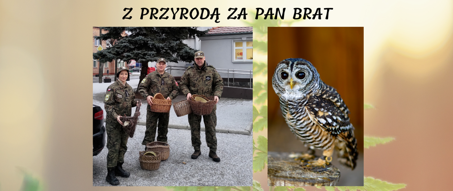 grafika przedstawia logotyp ze zdjęciem sowy i napisem Z przyrodą za pan brat 