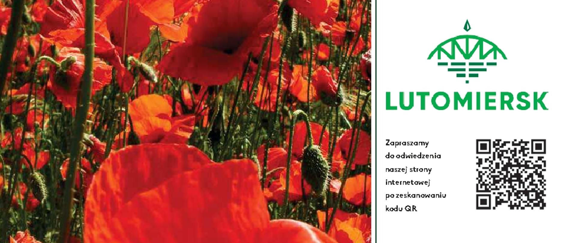 Wiadomości Lutomierskie NR161