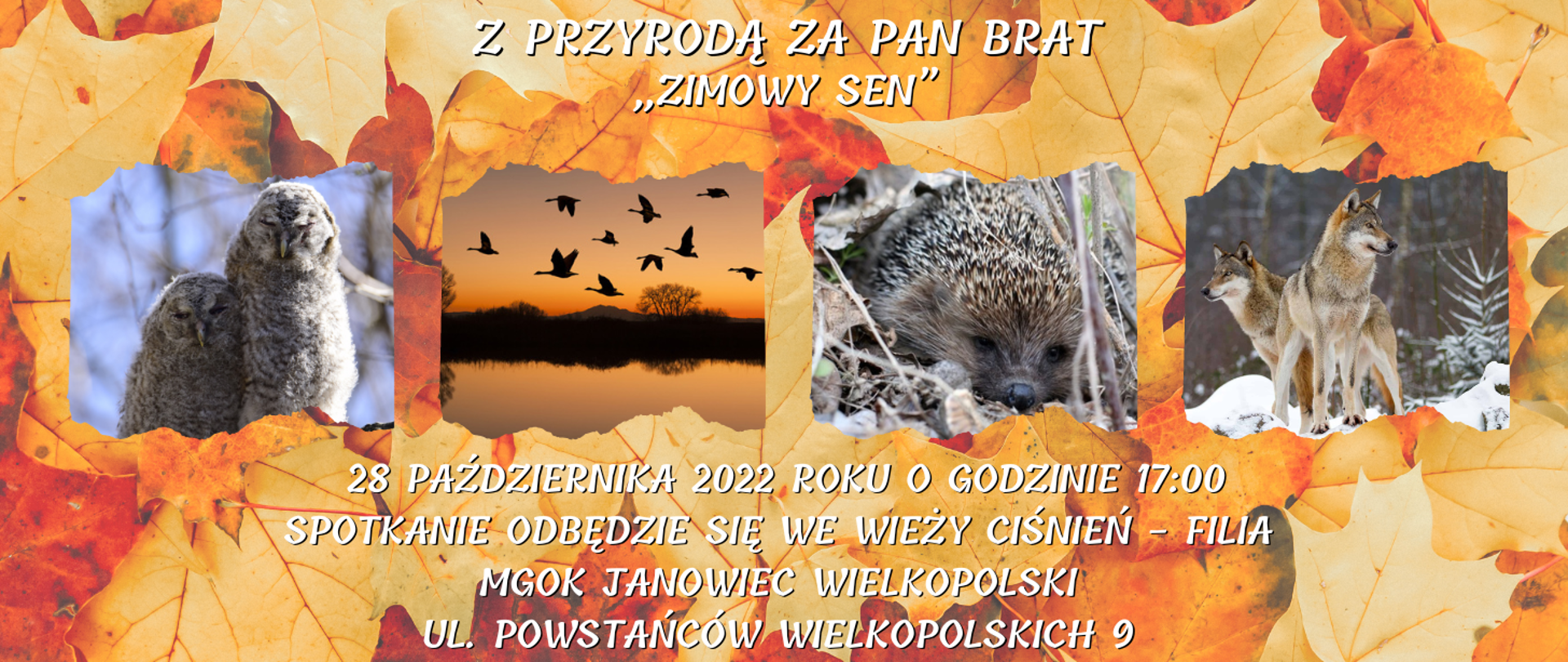 grafika z tekstem: Z PRZYRODĄ ZA PAN BRAT - „ZIMOWY SEN” 28 października 2022 roku o godzinie 17:00 Spotkanie odbędzie się we Wieży Ciśnień - Filia MGOK Janowiec Wielkopolski ul. Powstańców Wielkopolskich 9
