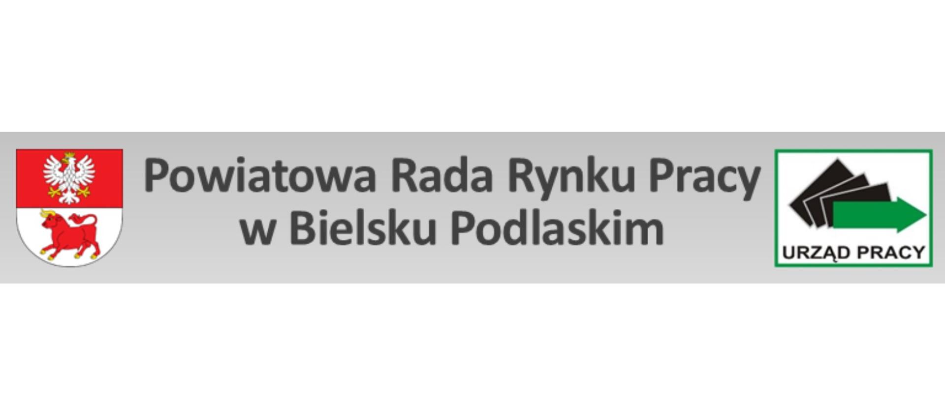 Powiatowa Rada Rynku Pracy