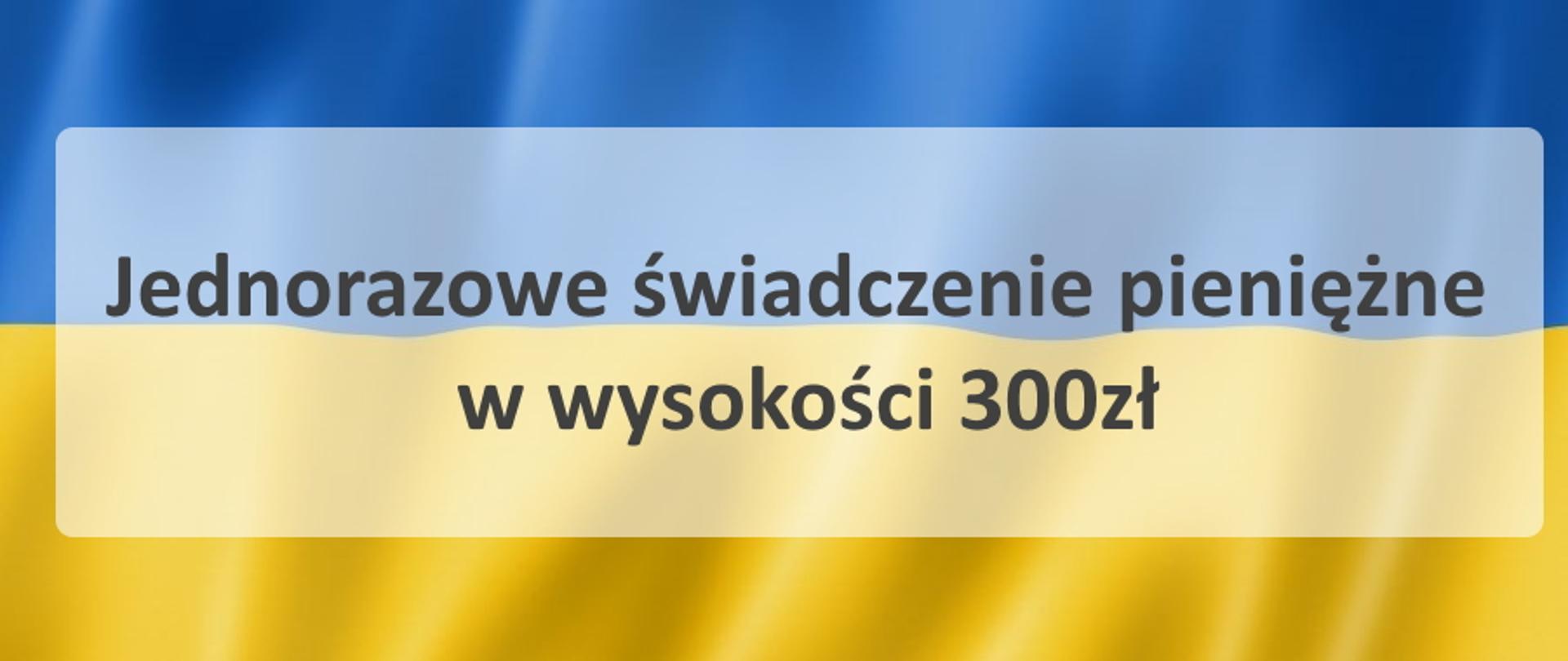 Flaga Ukrainy, Świadczenia pieniężne dla obywateli Ukrainy