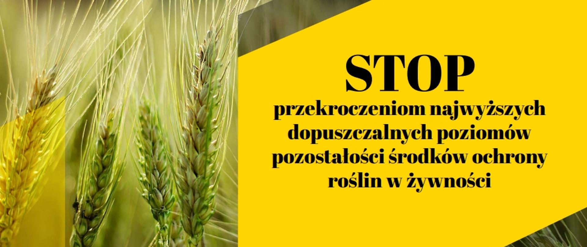 Stop przekroczeniom najwyższych dopuszczalnych poziomów pozostałości środków ochrony roślin w żywności