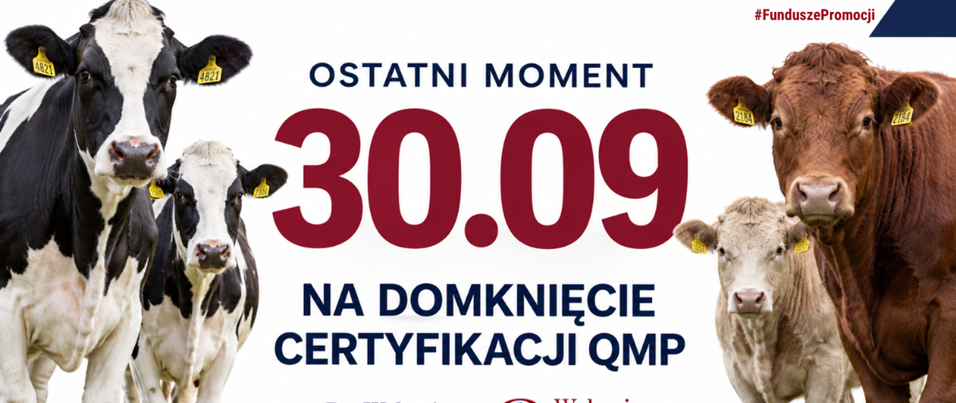 QMP