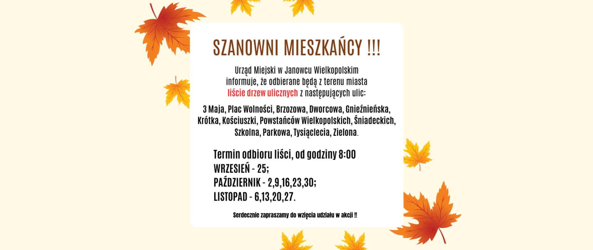 Urząd Miejski w Janowcu Wielkopolskim
informuje, że odbierane będą z terenu miasta
liście drzew ulicznych