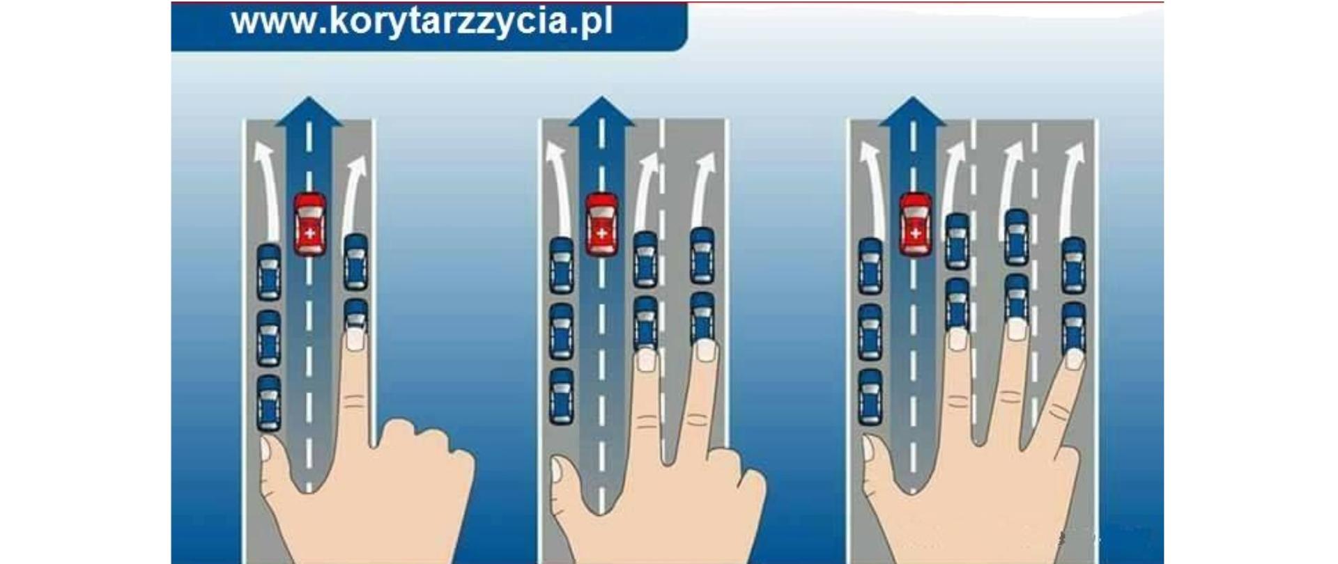 Korytarz życia