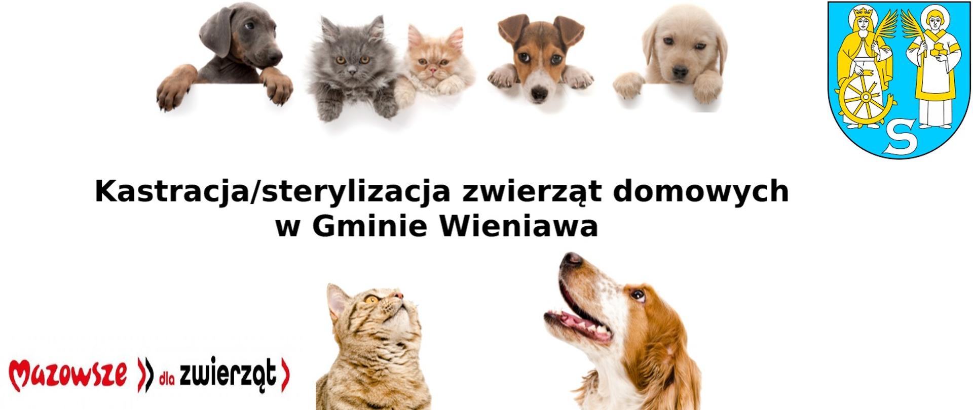 Kastracja_i_sterylizacja