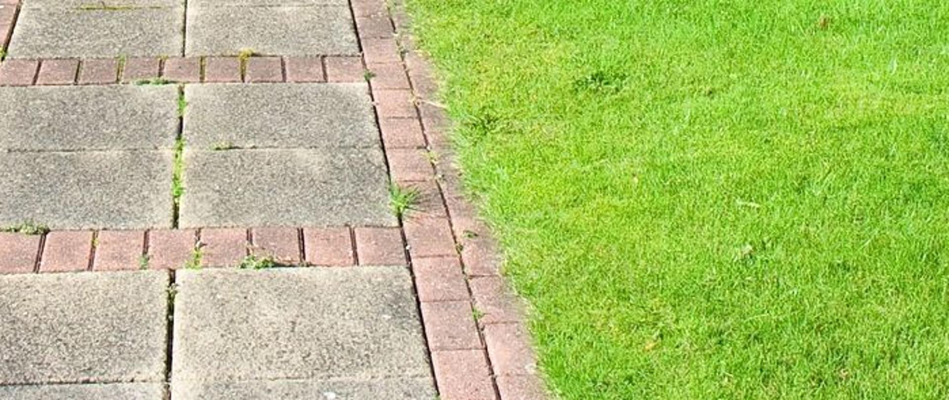 Przycięty równo trawnik, chodnik z kostki brukowej i płytek betonowych