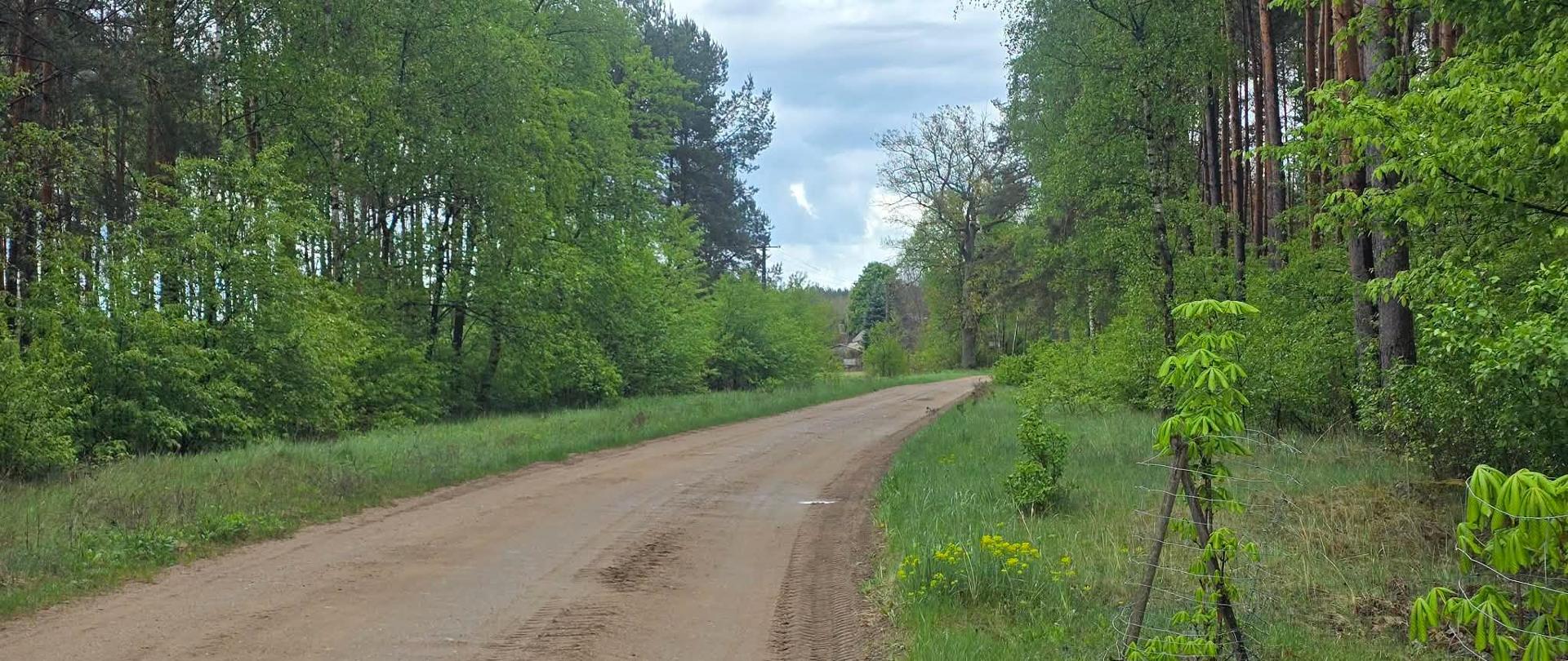 Brzegi