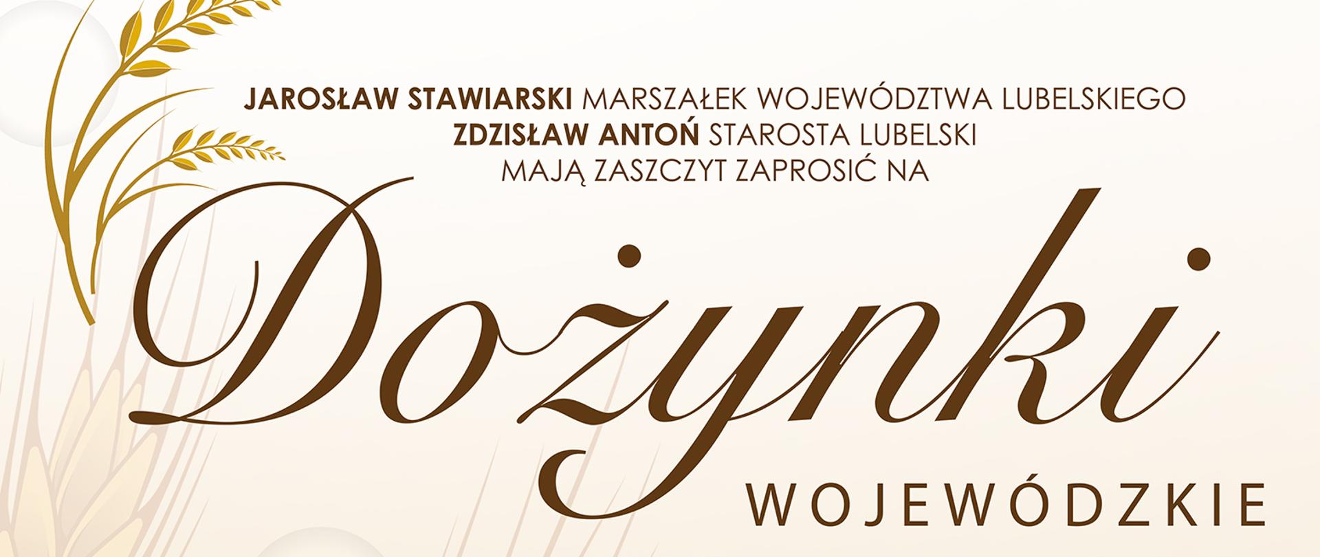 W górnej części plakatu znajdują się: Patronat Narodowy Prezydenta Rzeczypospolitej Polskiej Andrzeja Dudy oraz logotypy organizatorów dożynek. Poniżej zaproszenie Marszałka Województwa Lubelskiego oraz Starosty Lubelskiego na Dożynki. Kolejnym elementem jest godzinowy program imprezy. W dolnej części plakatu zamieszczone zostały logotypy sponsorów i patronów medialnych.