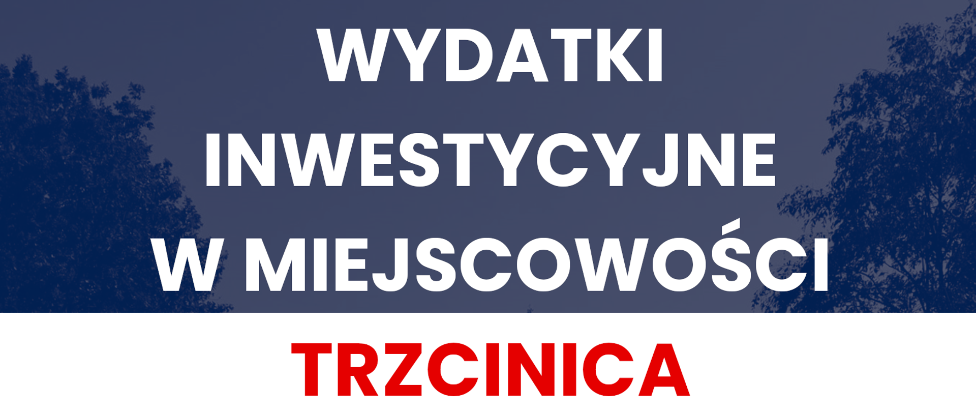 Trzcinica