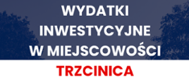 Trzcinica