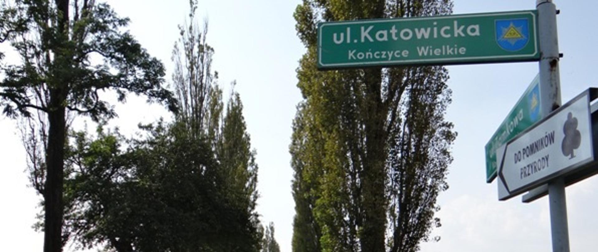 W pobliżu skrzyżowania z ulicą Katowicką. Na słupku drogowskaz kierujący do pomników przyrody, czyli sędziwych dębów nazwanych „Mieszko” i „Przemko”