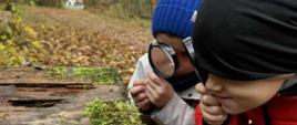 Jesienne zajęcia w lesie - dzieci z lupami oglądają pień drzewa