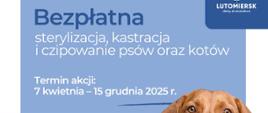 bezpłatna sterylizacja, kastracja i czipowanie psów oraz kotów