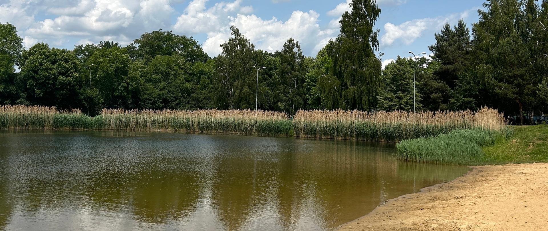 Błękitne niebo, kawałek piaszczystej plaży i staw.
