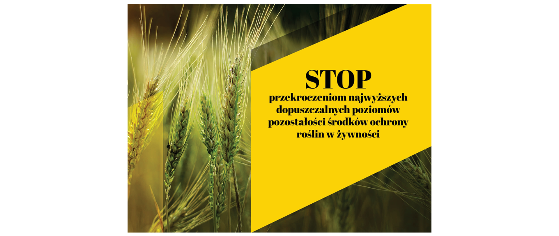 STOP przekroczeniom najwyższych dopuszczalnych poziomów pozostałości środków ochrony roślin w żywności