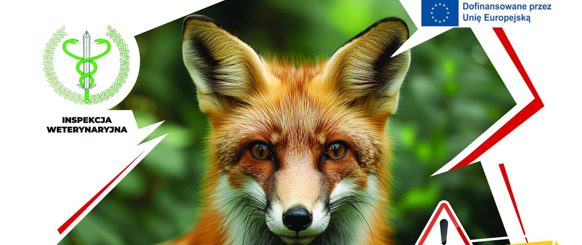 szczepienia_lisow_plakat_a3_bez_data_druk