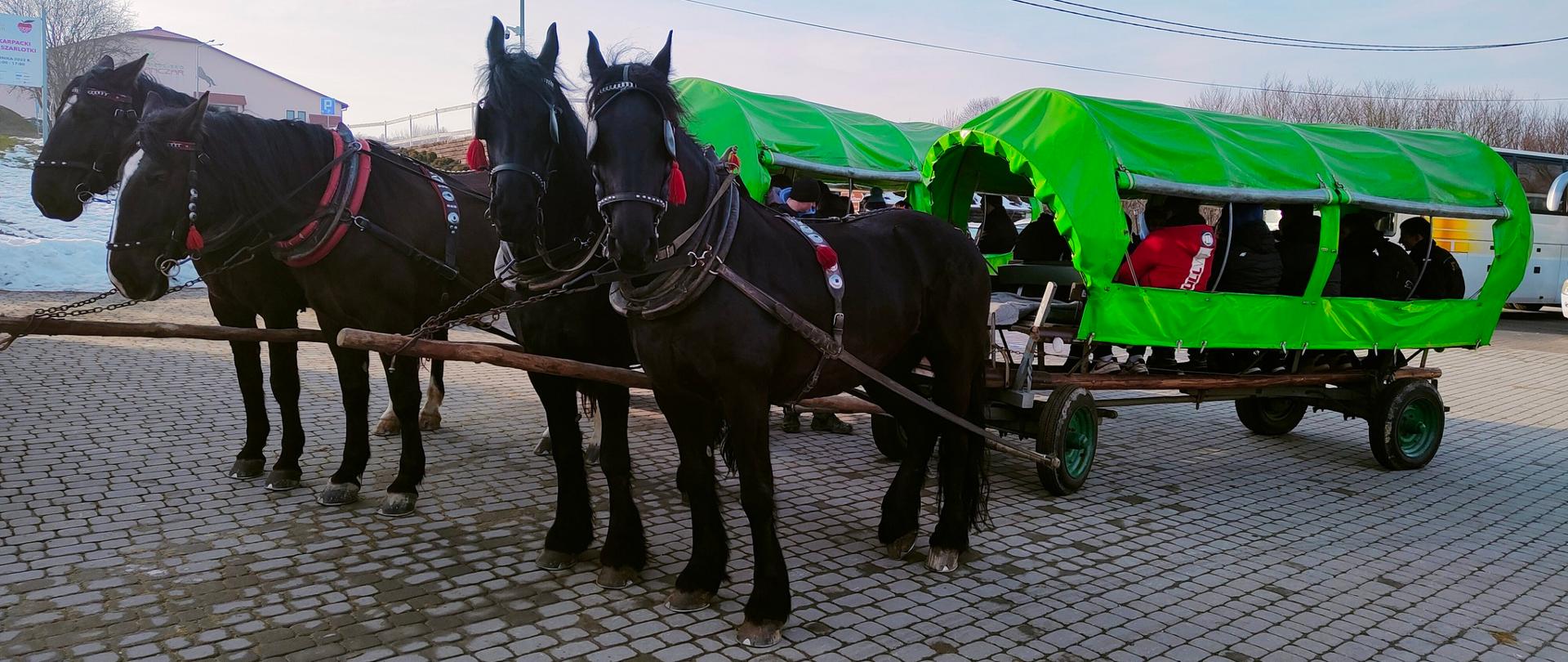 Młodzi strażacy na kuligu w Pstrągowej