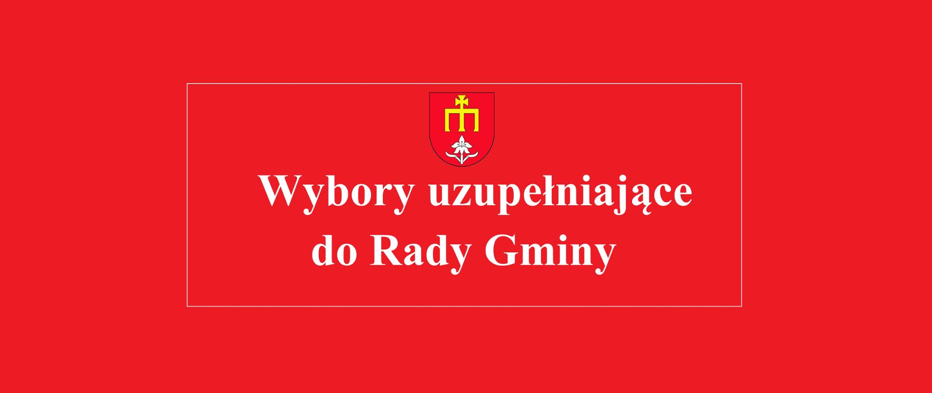 Wybory uzupełniające do Rady Gminy