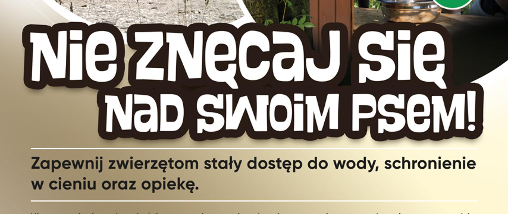 Wysokie temperatury są zagrożeniem nie tylko dla zdrowia ludzi, ale także dla zwierząt.