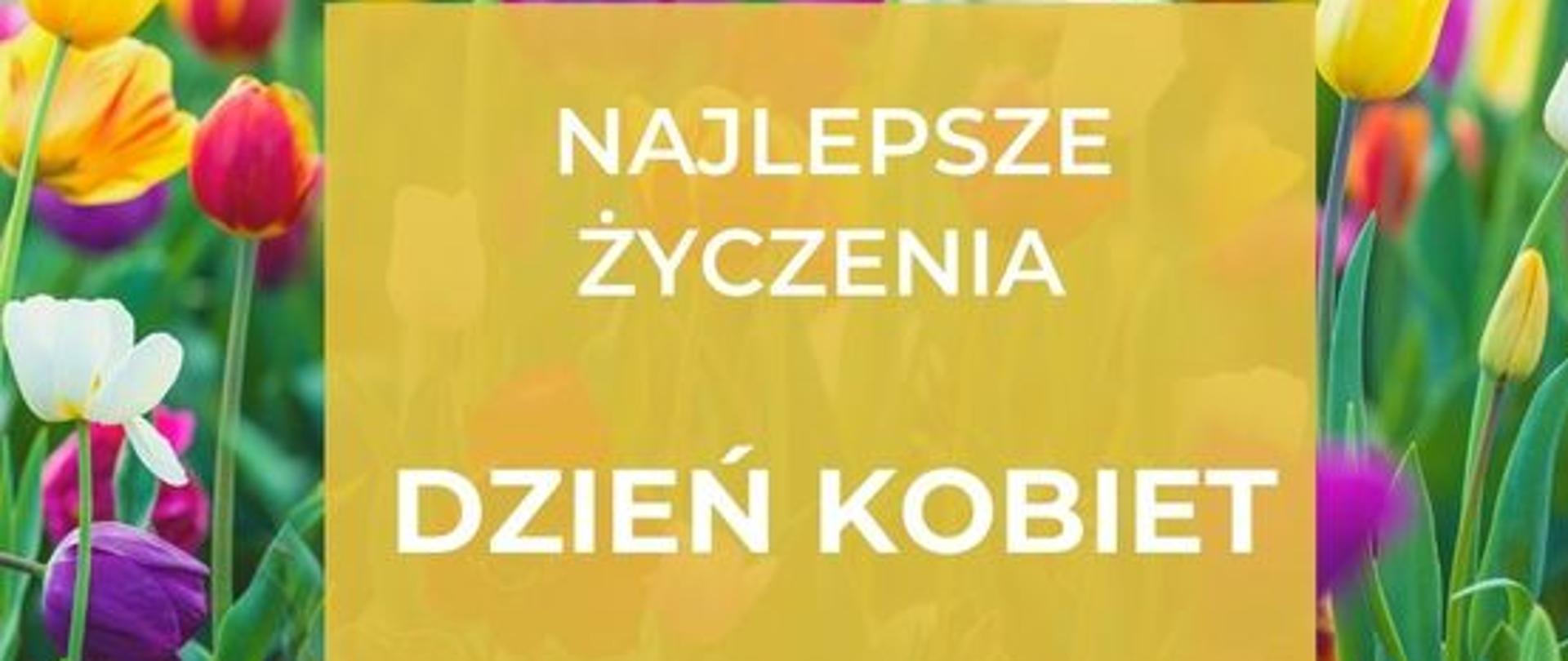 Zdjęcie łąki z różnokolorowymi tulipanami. W centralnej części na żółtym tle napis "Najlepsze życzenia, Dzień kobiet" 