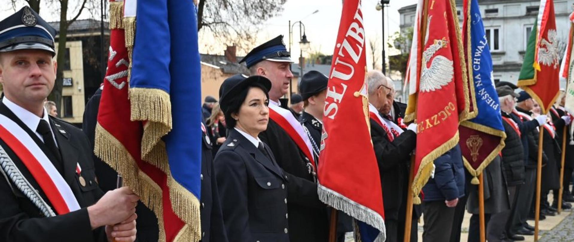 Na zdjęciu widzimy kilka pocztów sztandarowych