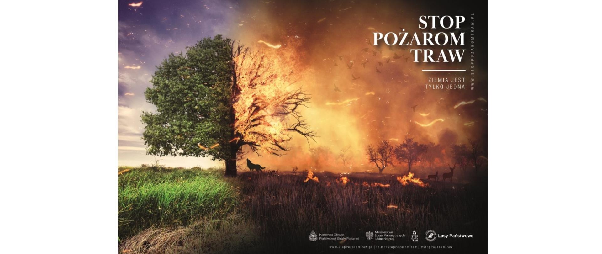 Plakat - Stop Pożarom Traw