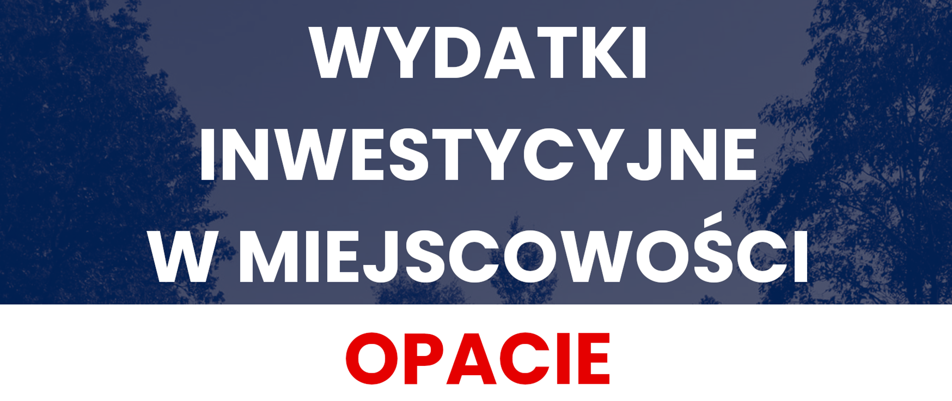 Opacie