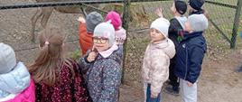 Zwiedzanie Rezerwatu Pokazowego Żubrów