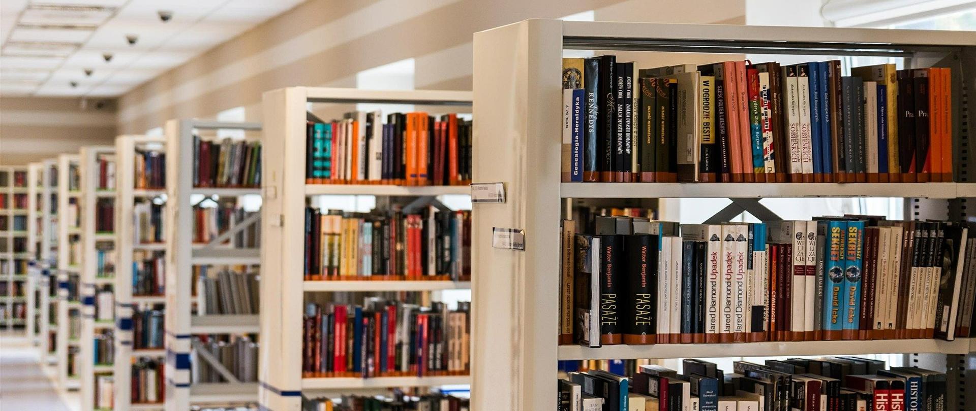 Na zdjęciu widać półki zapełnione książkami