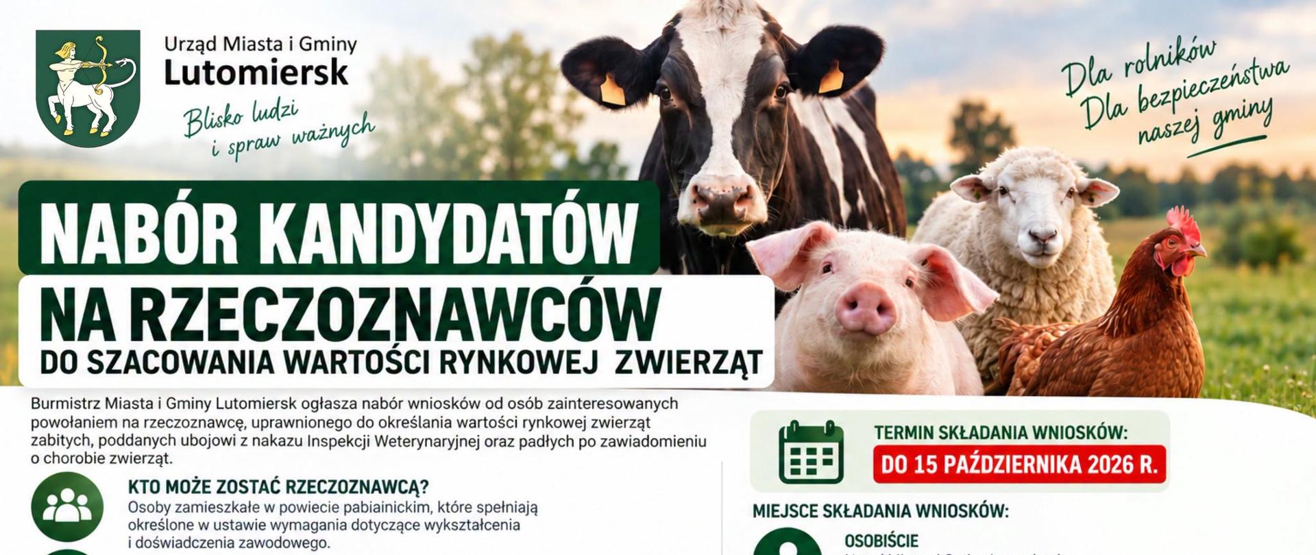 Nabór kandydatów