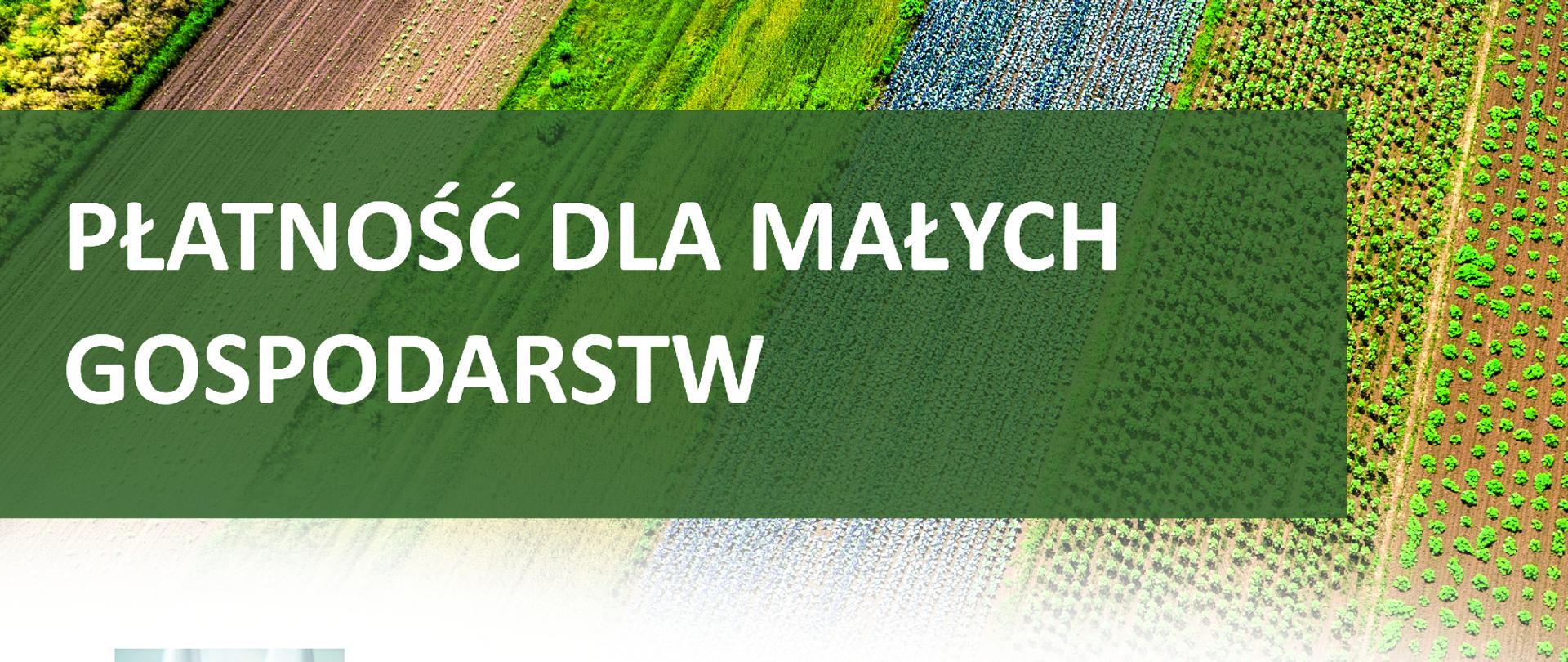 RYCZAŁT DLA MAŁYCH GOSPODARSTW