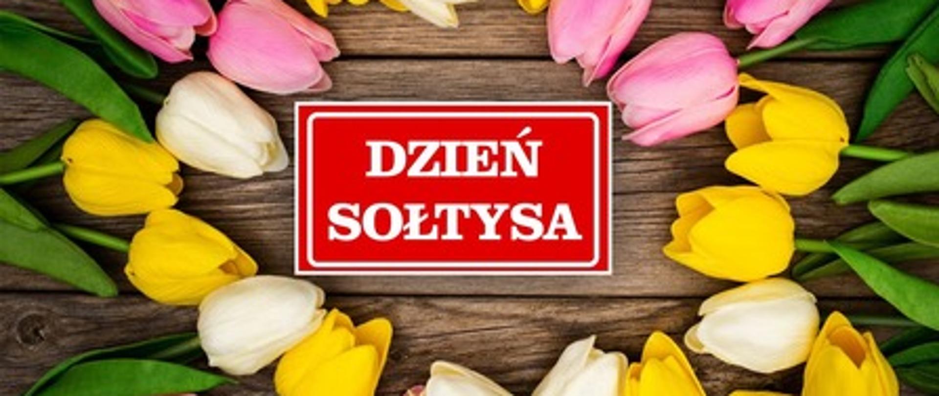 Na środku napis na czerwonej tabliczce białymi literami dzień sołtysa. Dookoła na leżąco poukładane białe, żółte oraz różowe tulipany. 
