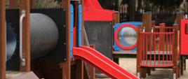 Na placu zabaw - wyposażenie