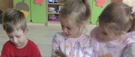Dzieci oglądają swoje kasztany w przedszkolnej sali