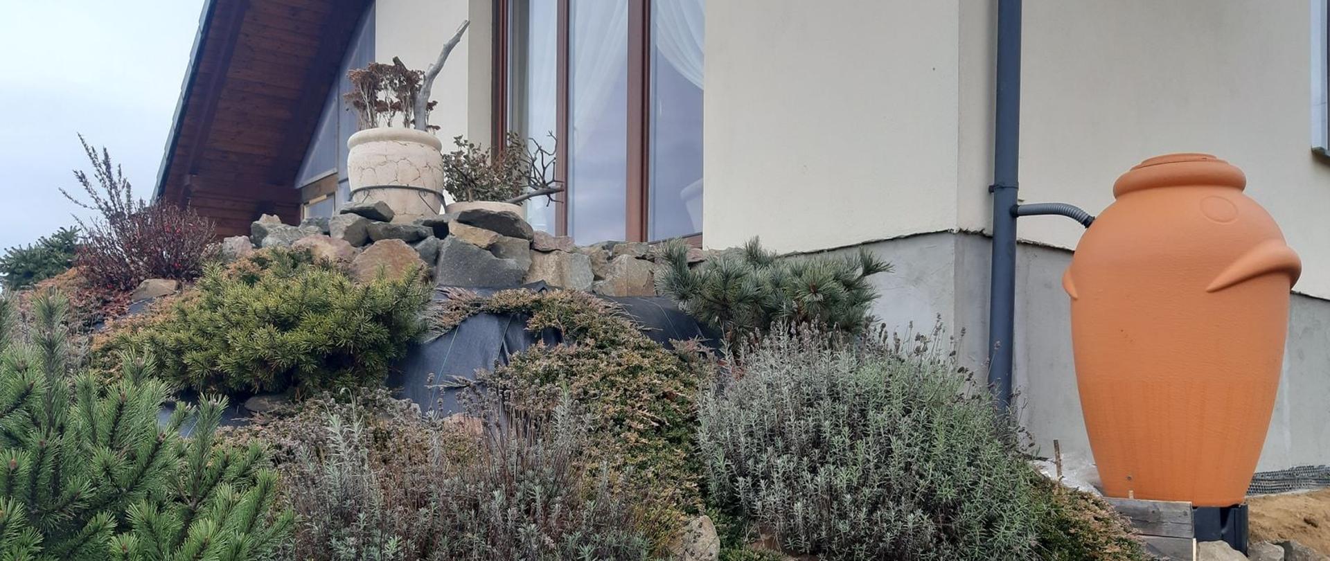 Zdjęcie przedstawia przydomowy skalniak w tle dom . Po prawej stronie pojemnik na wodę podłączony do rynny.