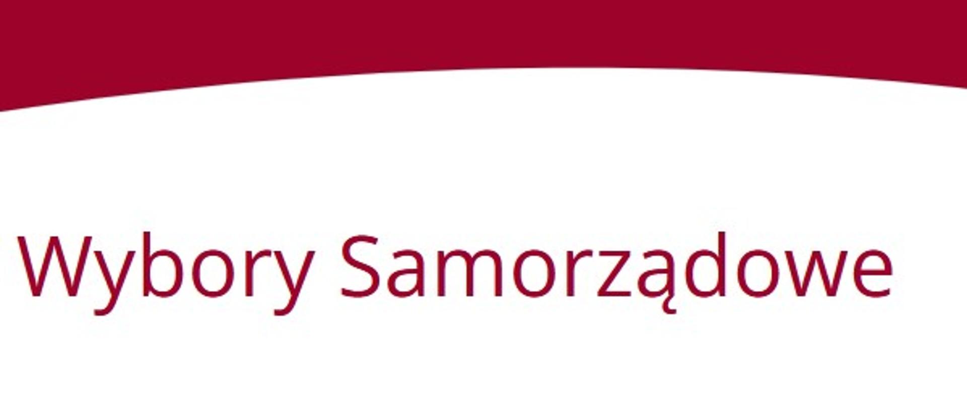 wybory