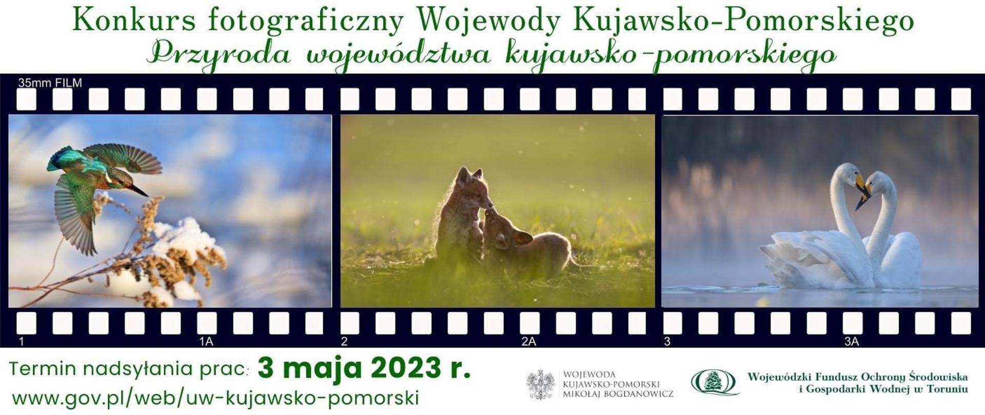 Wojewoda Kujawsko-Pomorski serdecznie zaprasza miłośników przyrody i fotografii do udziału w kolejnej edycji konkursu fotograficznego pn. „Przyroda województwa kujawsko-pomorskiego”.