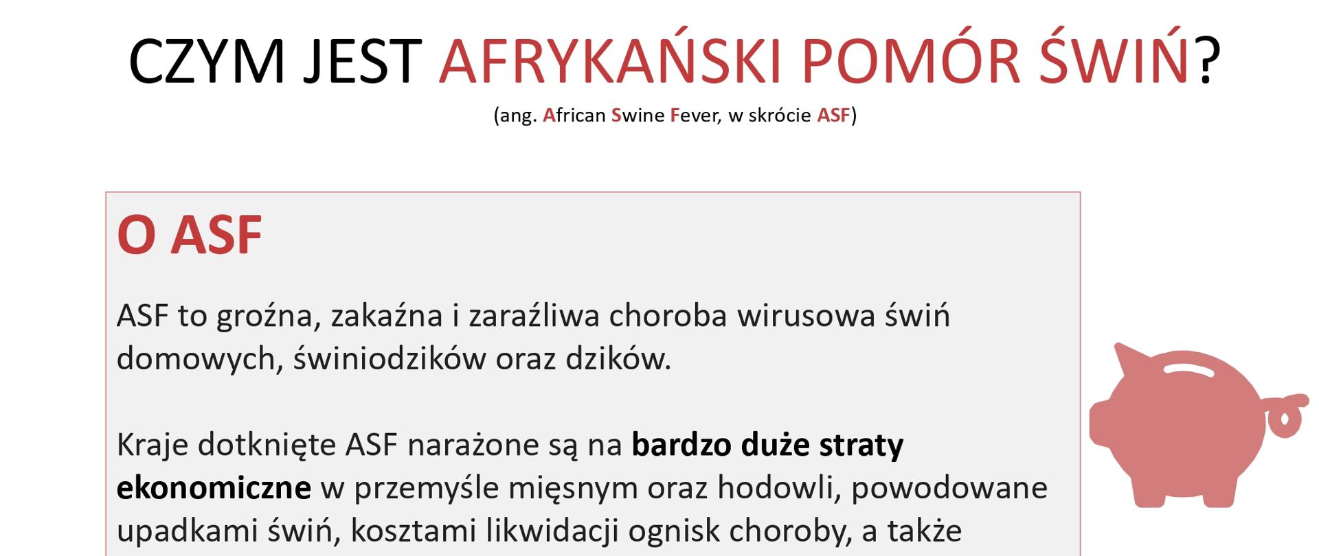 Afryknski_pomór_świń_ulotka_1