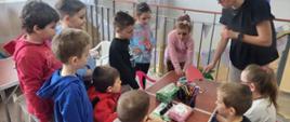 Zajęcia edukacyjne